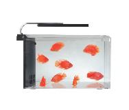 ACUARIO CLARITY KIT 19 LT