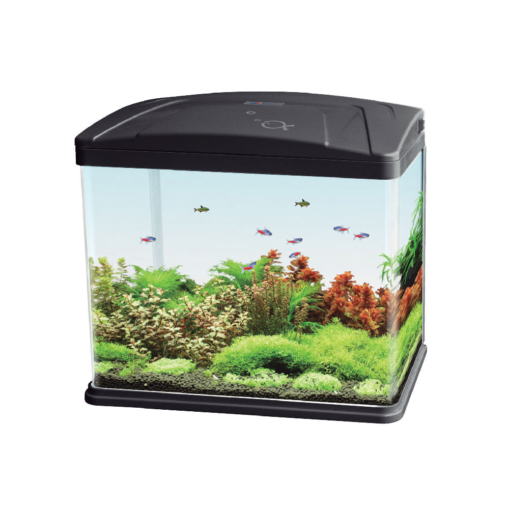 ACUARIO NANO EDEN