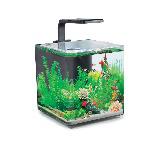 ACUARIO AQUACLEAR - DESTOP TANK LUCES LED